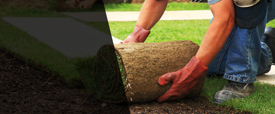 Duncannon Landscapers